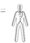 Schematic representation of the large blood circulation in the human body
